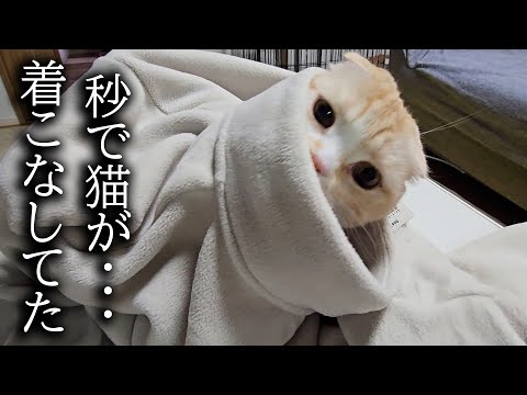 寒いので高級フリースを購入したら犬と猫が自分のだと思いこうなってた…