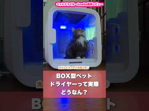 BOX型のペットドライヤーってどうなん？