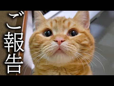 【ご報告】皆様に緊急のお知らせがあります…