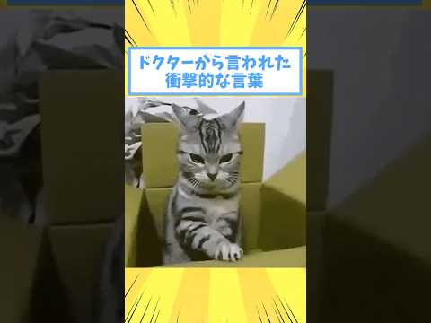 ペットがドクターから言われた衝撃的な言葉www#猫 #犬 #猫動画 #いぬ #可愛い #かわいい #癒し #ペット #動物 #2ch #shorts