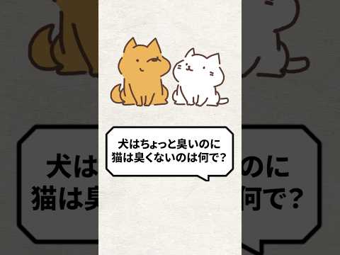 Q：犬はちょっと臭いのに猫は臭く無いのはなんで？ #猫 #犬 #猫のいる暮らし #ねこ