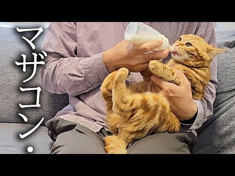 去勢して元気がない子猫にミルクをあげたら大変なことに…
