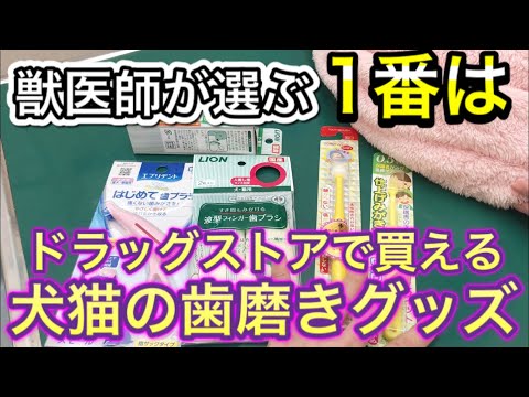 【獣医師が選ぶ】ドラッグストアで買える犬猫用歯みがきグッツ、どれが1番おすすめか！