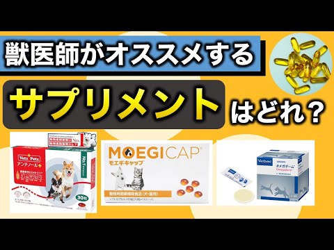 【犬猫の健康】ペットの若さを保つ！おすすめのオメガ3脂肪酸サプリとは