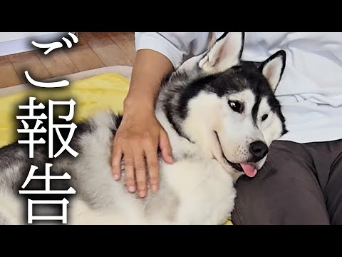 【ご報告】健康状態と今後について…