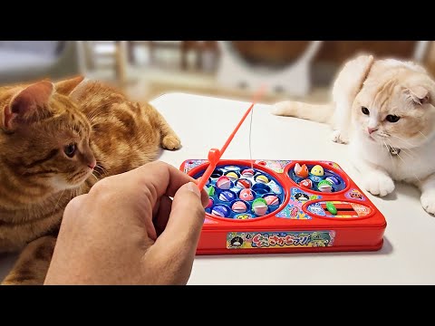 犬と猫達とお魚釣りをしたら楽しすぎた…