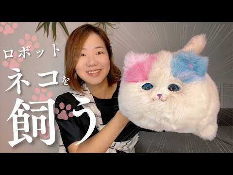 ロボット猫を飼う