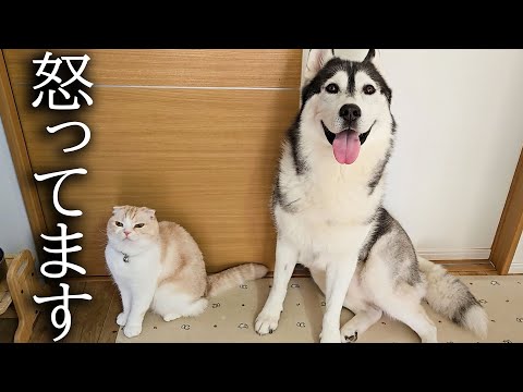 一言言わせて下さい…