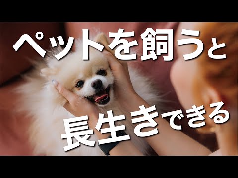 【犬と猫とシニア】ペットがかなえてくれる幸せ健康長寿①【ピンコロ先生の幸せ健康長寿チャンネル】【50代・60代シニア】