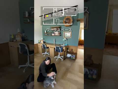 【ROOMTOUR】犬２匹+猫３匹と暮らすお家をルームツアー！#shorts