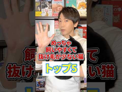 めっちゃ飼いやすくて抜け毛が少ない猫トップ5 #猫 #猫のいる生活 #ねこ