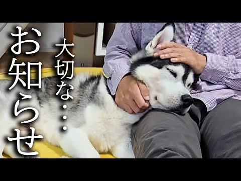 今まで応援してくださった皆様へ大切なお知らせ…