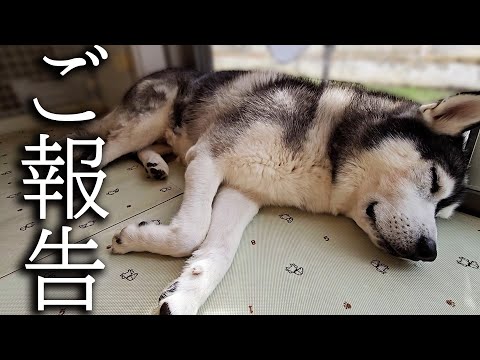 残念で悲しいお知らせです…