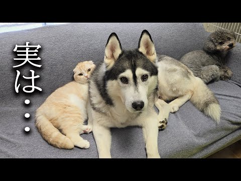 犬の身体に異変がありました…