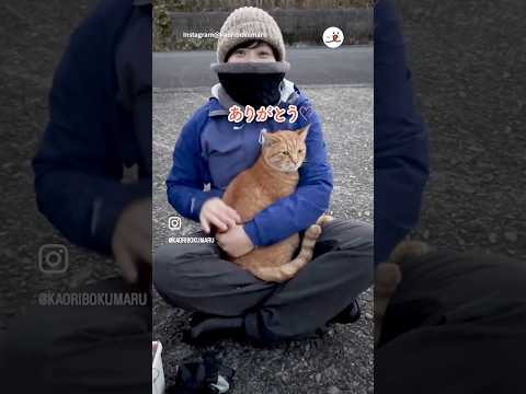 釣りに行ったら猫が釣れた｜PECO #地域猫  #茶トラ #猫 #愛猫家 #猫のいる暮らし #redtabby #cat #catlover #catlife