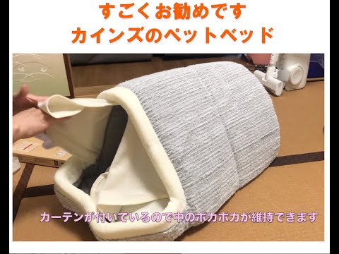 猫にプレゼント☆カインズのペットベッド
