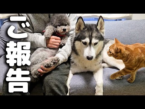 散歩中に絡まれて因縁をつけられました…