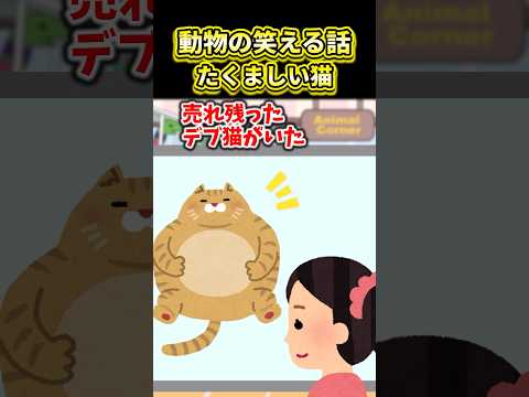 😹100万再生！！たくましい猫【2ch動物スレ】