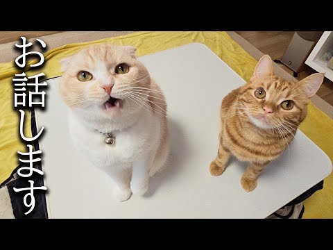 ついにこの日がきちゃいました…