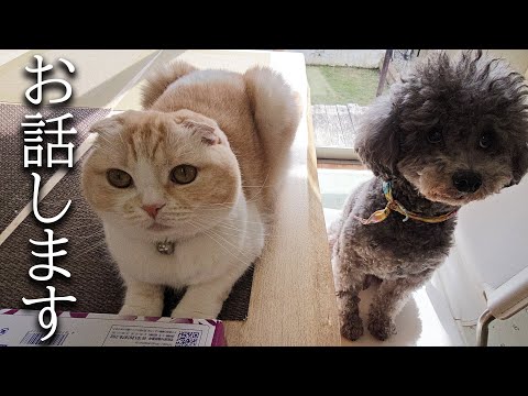 ついにこの日がきました…