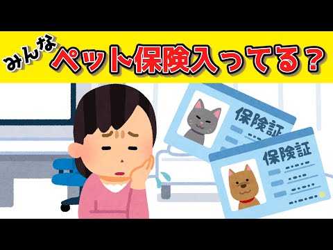 【有益】ペット保険って実際どうなの？お得？まとめ【犬・猫】