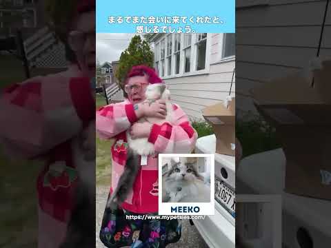 ペットロスで悲しむ人にペットと同じぬいぐるみをサプライズプレゼント