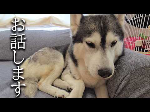 本当に怖い事がありました…