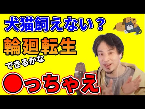 【ひろゆき】犬猫飼えないなら。●っちゃうのアリ？【切り抜き】#shorts