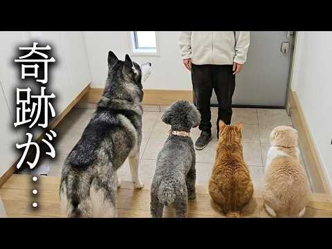 飼い主が病院から帰宅すると奇跡が…