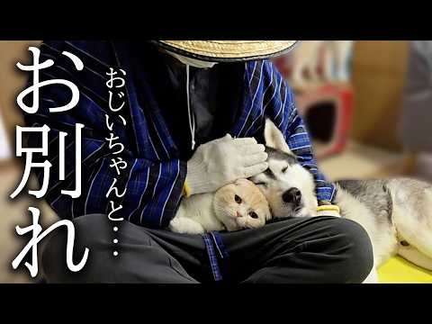 おじいちゃんとお別れしたくない犬と猫がこうなっちゃいました…