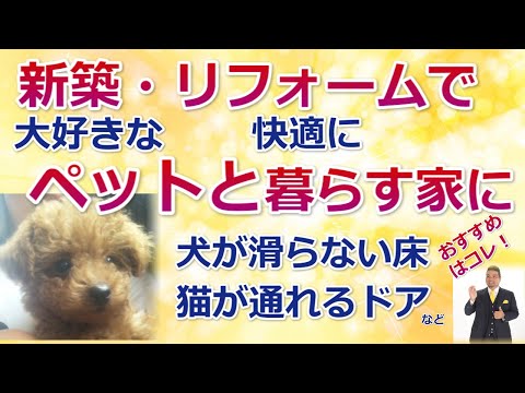 犬猫ペットと快適に暮らす家にリフォーム・新築　室内犬が滑らないフローリング　CF　カーペット床はこれだ！「住まいの大王」