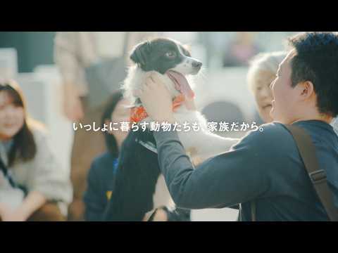 パナソニック保護犬猫譲渡会_「犬猫も家族篇」30秒【パナソニック公式】