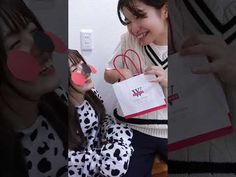 我が家の犬と猫の誕生日を祝ってみたら…【犬と猫どっちも飼ってると毎日たのしい】 #Shorts