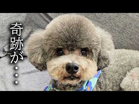 身体に異変が…