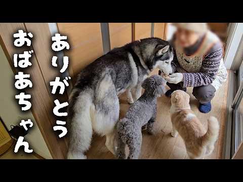 おばあちゃんに心を開いた瞬間がこちらです…