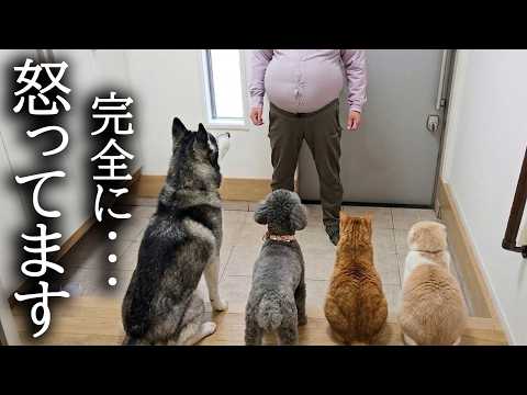 近所のおじさんが怒鳴り乗り込んで来ましたいったい何が…