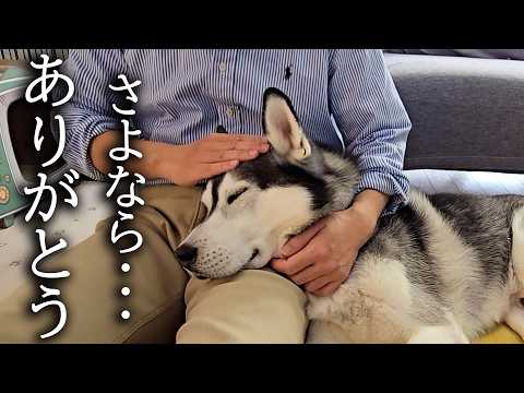 悲しい事がありました…