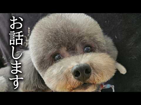 【ご報告】非常に残念なお知らせがあります…