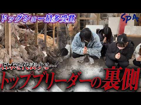 【衝撃】ドッグショーの栄光の裏で…放置された犬舎に広がっていた現実