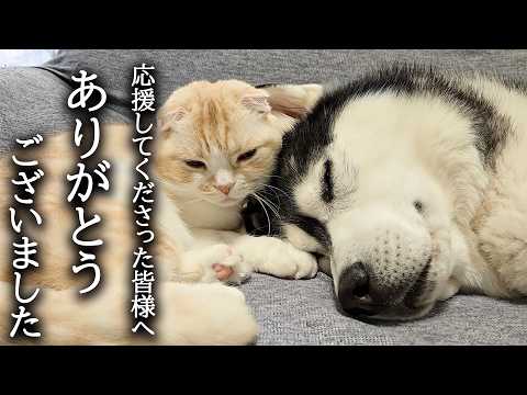 胸が締め付けられて落ち着きません…