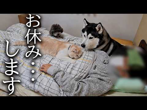 しばらく動画投稿を続けられなくなりそうです…