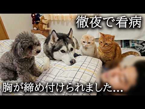 術後に痛みに苦しむ飼い主を徹夜で看病する犬と猫に胸が締め付けられました…