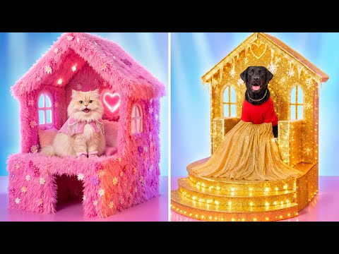 ふわふわ猫 vs ゴス犬 🏠 ドリームルーム改造バトル