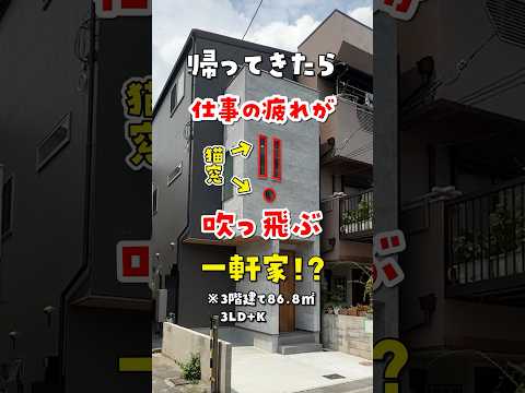 【猫と大型犬 飼育可】仕事から家に帰ったら疲れが吹っ飛ぶ賃貸物件 #ねこ #ルームツアー #ねこ物件