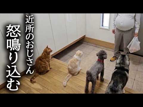 犬と猫が大声で騒いでいたら近所のおじさんが怒鳴り込んできました…