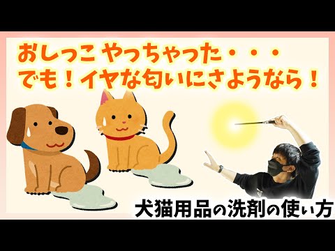 【犬猫用品の洗い方】ペット用品、おしっこのイヤな匂いにさようなら！犬猫用品の洗剤の使い方の紹介