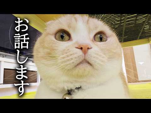 突然ですが申し訳ありませんお休みすることになりました