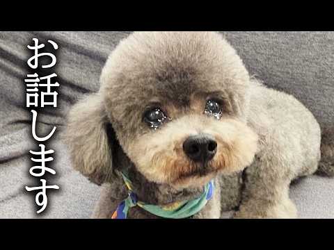 手術を考えると胸が締め付けられました…