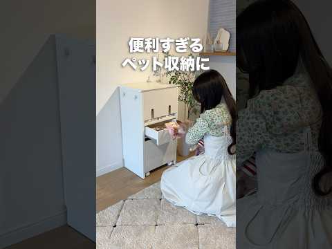 待望の新色登場！便利すぎるペット収納 #shorts