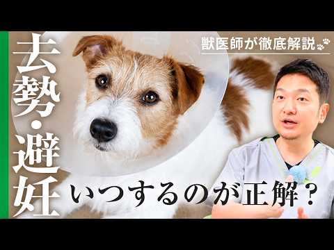 犬・猫を飼う人は知っておいてほしい去勢・避妊手術の適切なタイミング